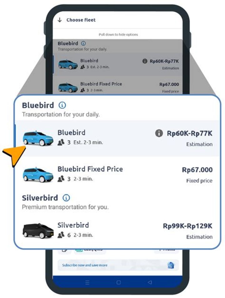 Can you use a bluebird card for cash app?