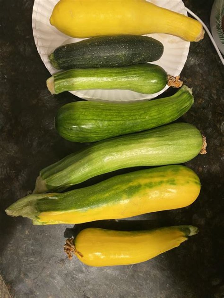 Can zucchini squash yellow?