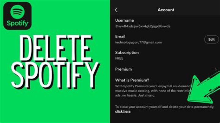 How do I delete Spotify data?