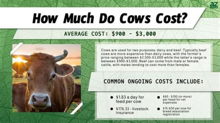 How Much Does A Table Cost??